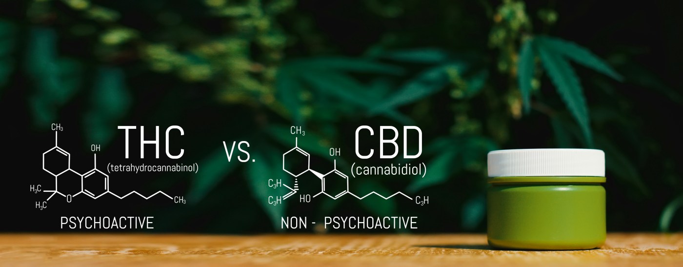 CBD vs. THC: Which Cannabis Compound is Right for You?
