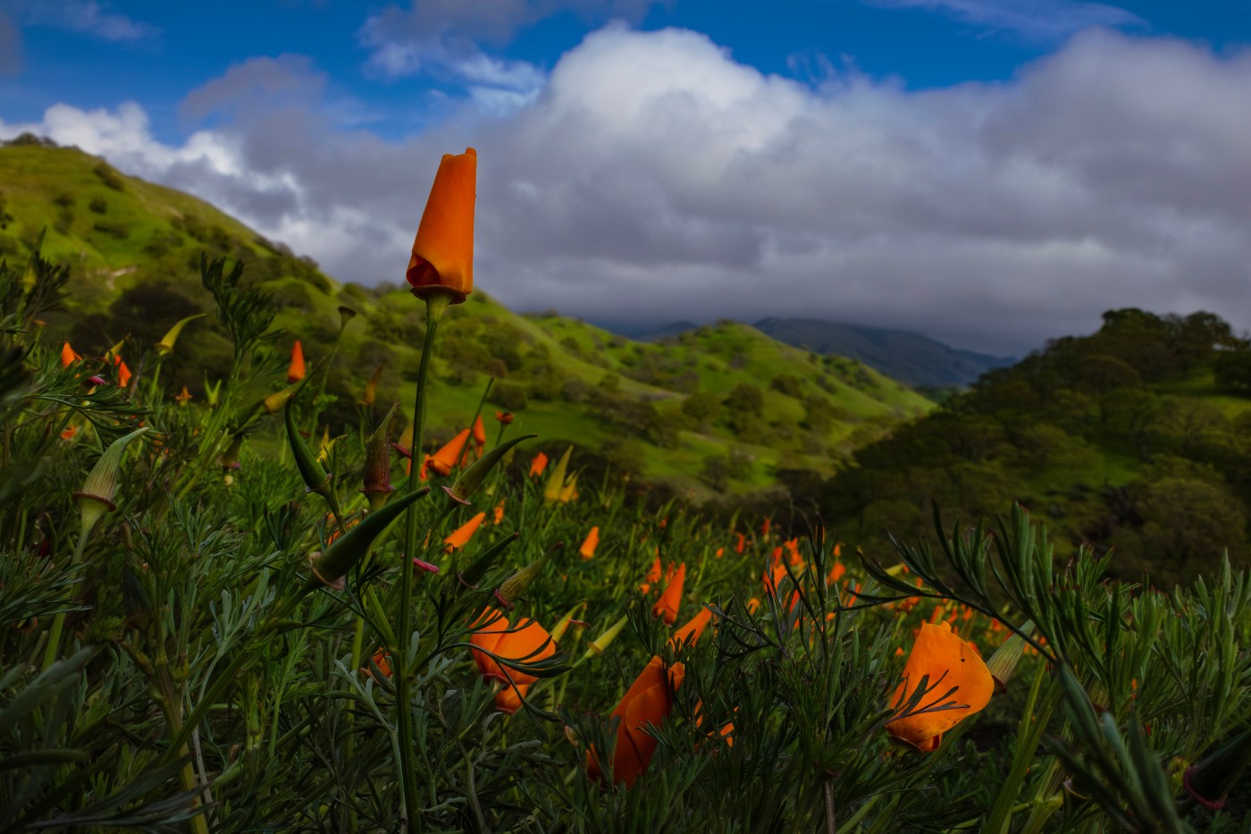 For Bay Area, warm wave is over. Now a return to rain and cool weather