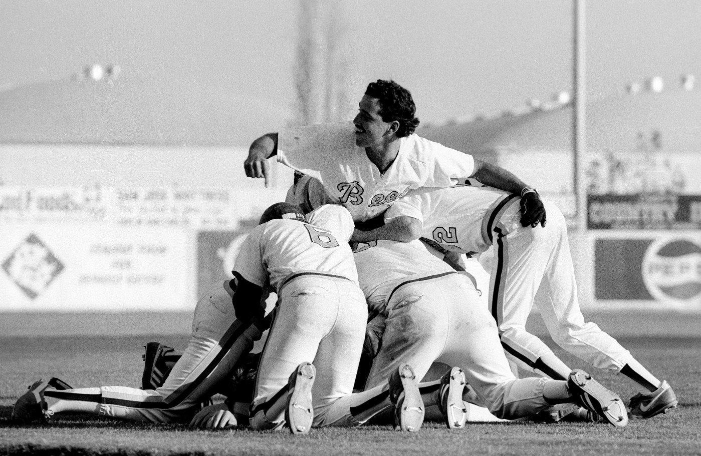 In the summer of 1986, San Jose’s Bad News Bees had all of baseball buzzing